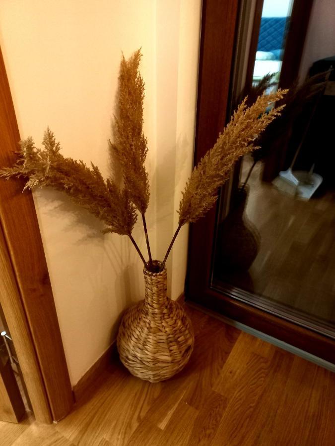 Luxury & Dijana Apartment Zlatibor