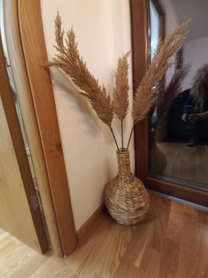 Luxury & Dijana Apartment Zlatibor