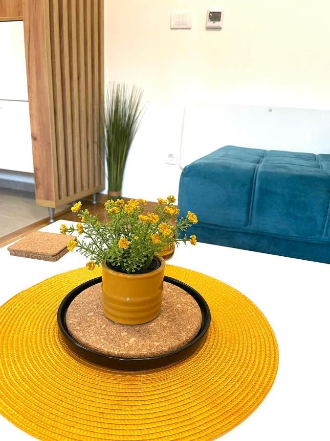 Luxury & Dijana Apartment Zlatibor